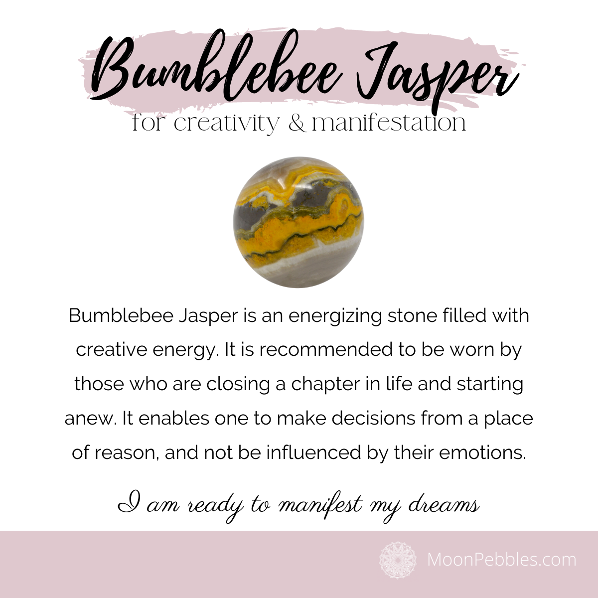 Bumblebee Jasper