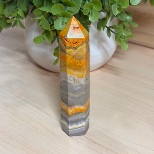 Bumblebee Jasper Point