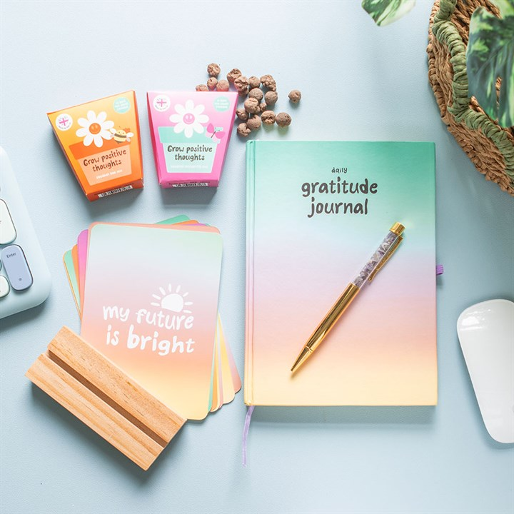 Mindful Moments Gratitude Journal with Amethyst Pen