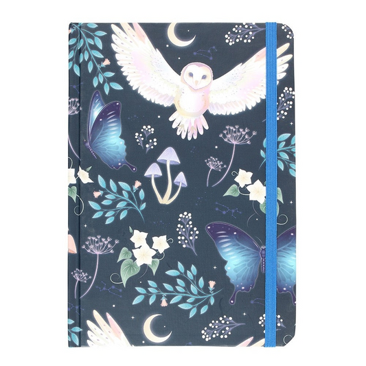 Night Flight Owl Notebook